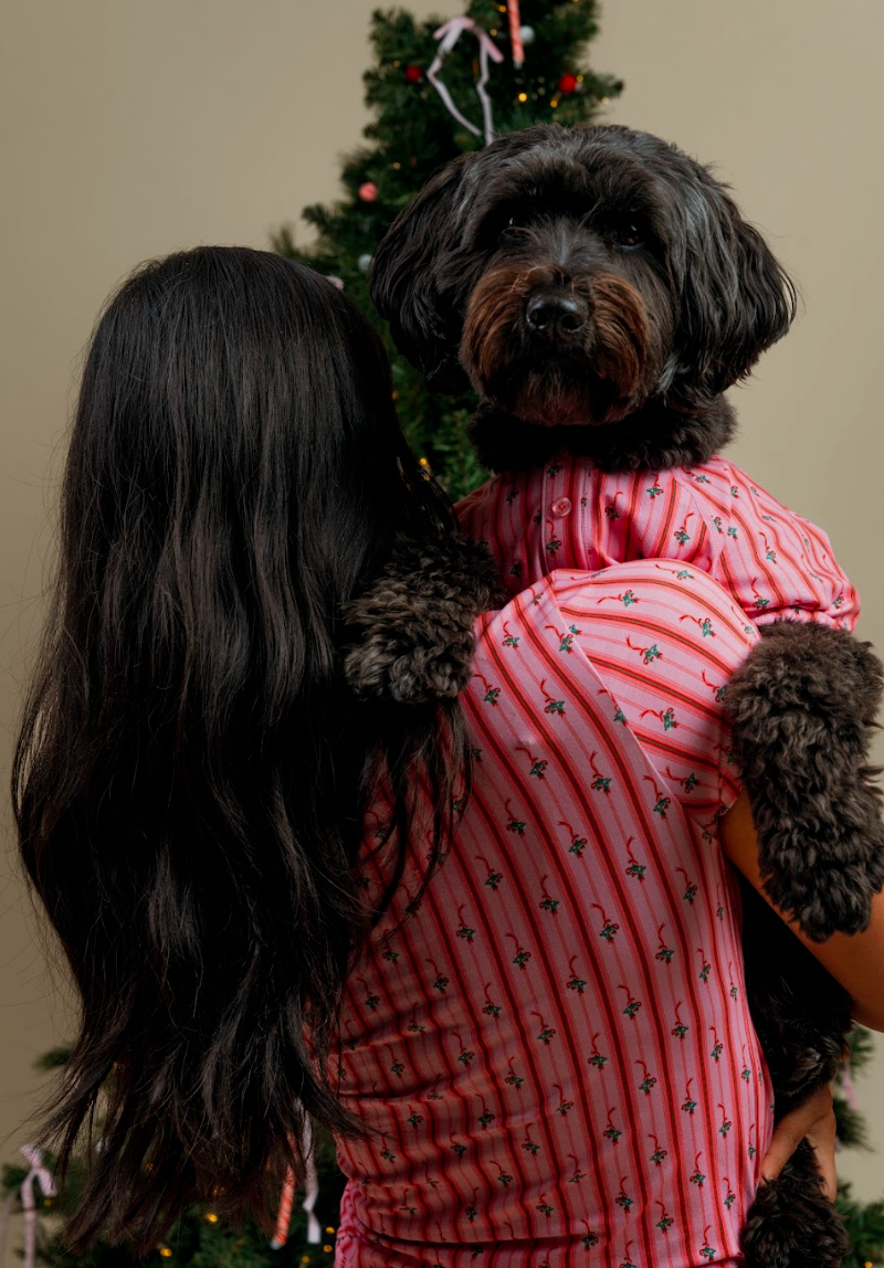 Mistletoe Dog PJ's