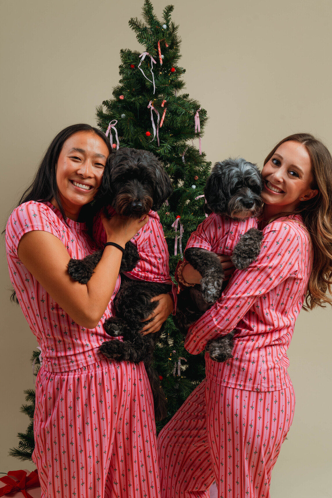 Mistletoe Dog PJ's