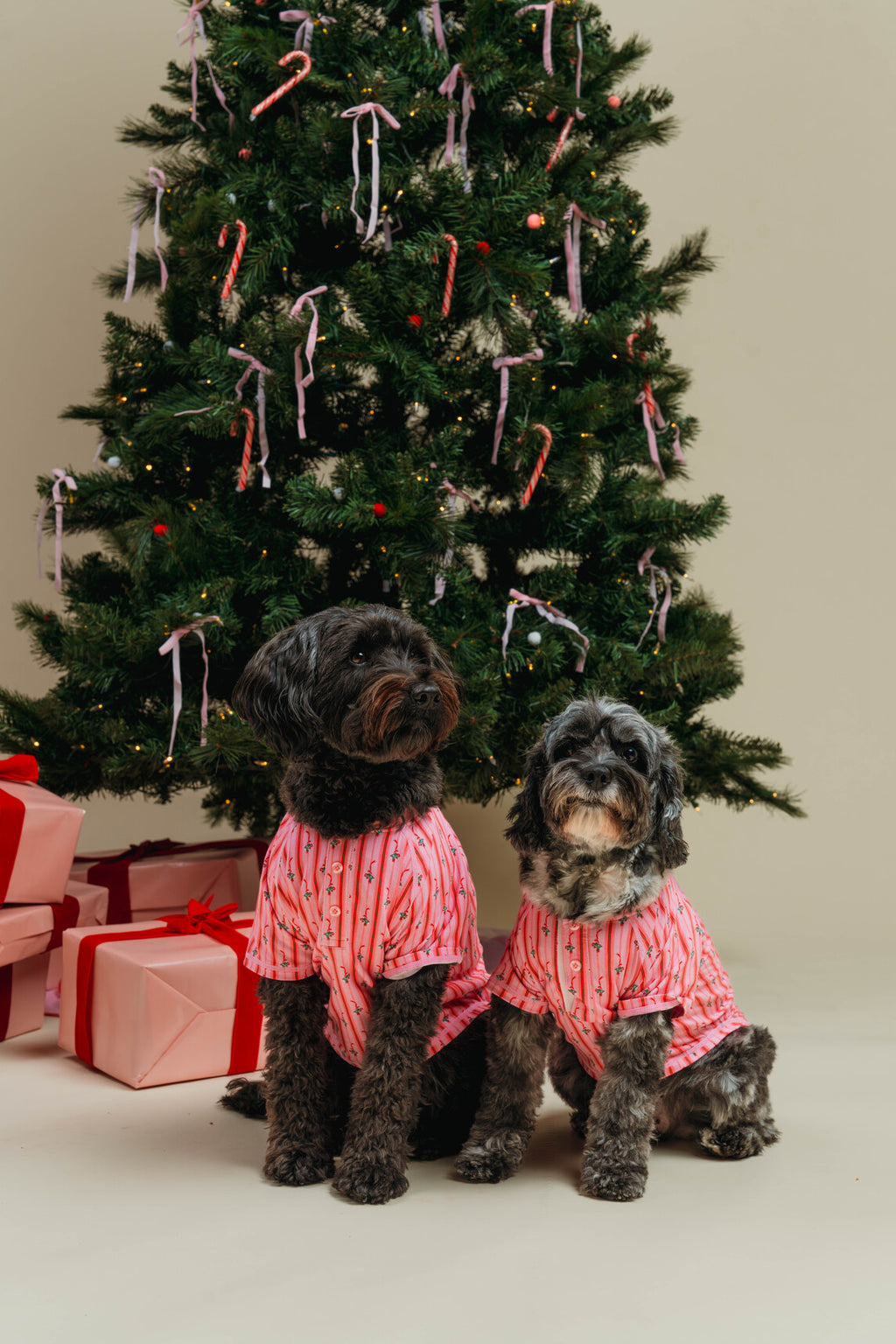 Mistletoe Dog PJ's